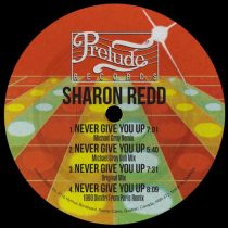 Sharon Redd – Never Give You Up (Michael Gray Remix)