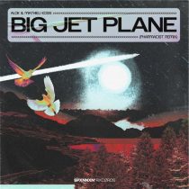 Alok, Mathieu Koss – Big Jet Plane (Pharmacist Remix) [Extended Mix]