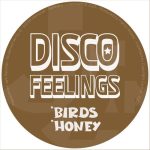 Disco Feelings – Birds & Honey