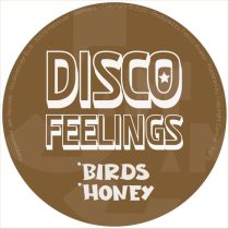 Disco Feelings – Birds & Honey