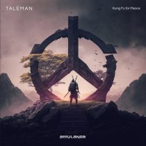 Taleman – Kung Fu for Peace