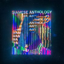 VA – Siamese Anthology V
