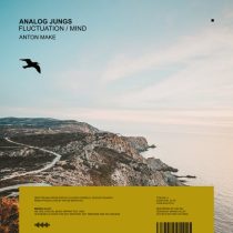 Analog Jungs – Fluctuation / Mind