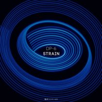 DP-6 – Strain