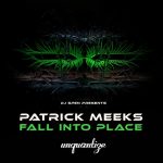 Patrick Meeks – Fall Into Place