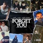Gabry Ponte, Alida, LUM!X – Forget You (with Gabry Ponte) [Extended Mix]