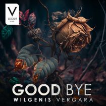 Wilgenis Vergara – Good Bye