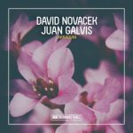 David Novacek, Juan Galvis – Akkadian