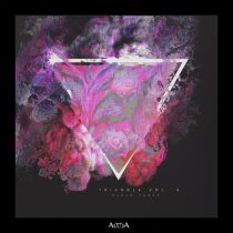 VA – Triangle, Vol. 6