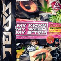 Teksa – My Kicks, My Weed, My Bitch – Extended Mix