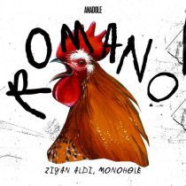 Monohøle, Zigan Aldi – Romano