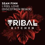 Sean Finn – I Feel Love (Discotron Remix)