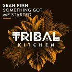Sean Finn – Something Got Me Started