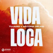 Tujamo, Antoine Delvig – Vida Loca (Extended Mix)