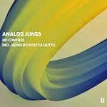 Analog Jungs – No Control