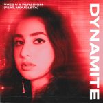 Yves V, Paradigm, Mougleta – Dynamite (feat. Mougleta) [Extended Mix]