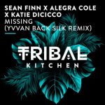 Sean Finn, Alegra Cole, Katie DiCicco – Missing (Yvvan Back Silk Remix)