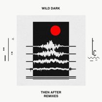 Wild Dark – Then After Remixes