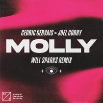 Cedric Gervais, Joel Corry – MOLLY (Will Sparks Remix) [Extended Mix]