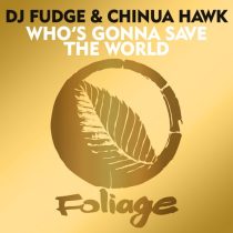 DJ Fudge, Chinua Hawk – Who’s Gonna Save The World