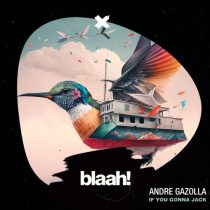 Andre Gazolla – If You Gonna Jack