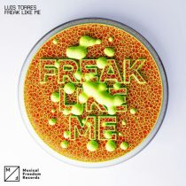 Luis Torres – Freak Like Me (Extended Mix)