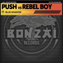 Push, Rebel Boy – Blue Shadow