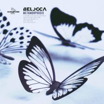 Belocca – Metamorphosis