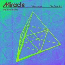 Calvin Harris, Ellie Goulding – Miracle (Wilkinson Remix)