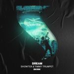 Showtek, Timmy Trumpet – Dream (Festival Mix)