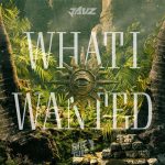 Jauz – What I Wanted