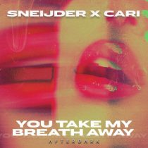 Sneijder, Cari – You Take My Breath Away