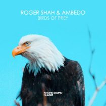Roger Shah, Ambedo – Birds Of Prey