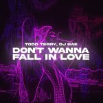 Todd Terry, DJ Rae – Don’t Wanna Fall In Love