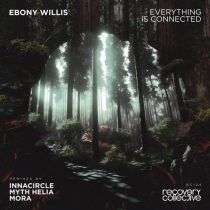 Ebony Willis – Everything Is Connected