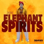 ZIDDO – Elephant Spirits
