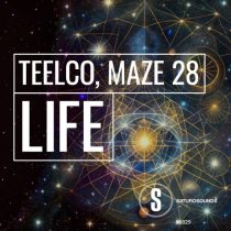 TEELCO, Maze 28 – Life