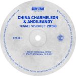 Ziyon, China Charmeleon, AndileAndy – Tunnel Vision