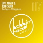 Dave Mayer, Tom Chubb – The Source Of Happiness