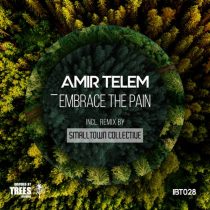 Amir Telem – Embrace the Pain