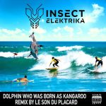 Insect Elektrika – Dolphin Who Was Born as Kangaroo