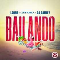 DJ Sammy, Loona, Jerome (DE) – Bailando (Extended Mix)