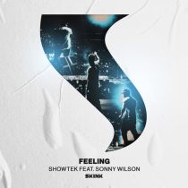 Showtek, Sonny Wilson – Feeling feat. Sonny Wilson