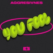 Aggresivnes – You Fool