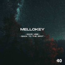 MelloKey – Good Vibe (Eyes For You) / Back To The Spot