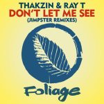 Jimpster, Thakzin, Ray T – Don’t Let Me See – Jimpster Remixes