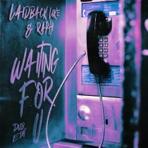 Laidback Luke, Raphi – Waiting For U