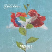 VA – Organica Records Compilation 01