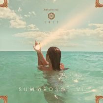 VA – Summer Sol VIII