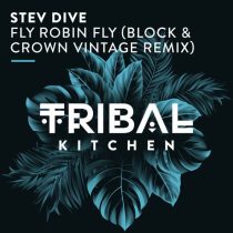 Stev Dive – Fly Robin Fly (Block & Crown Vintage Remix)
